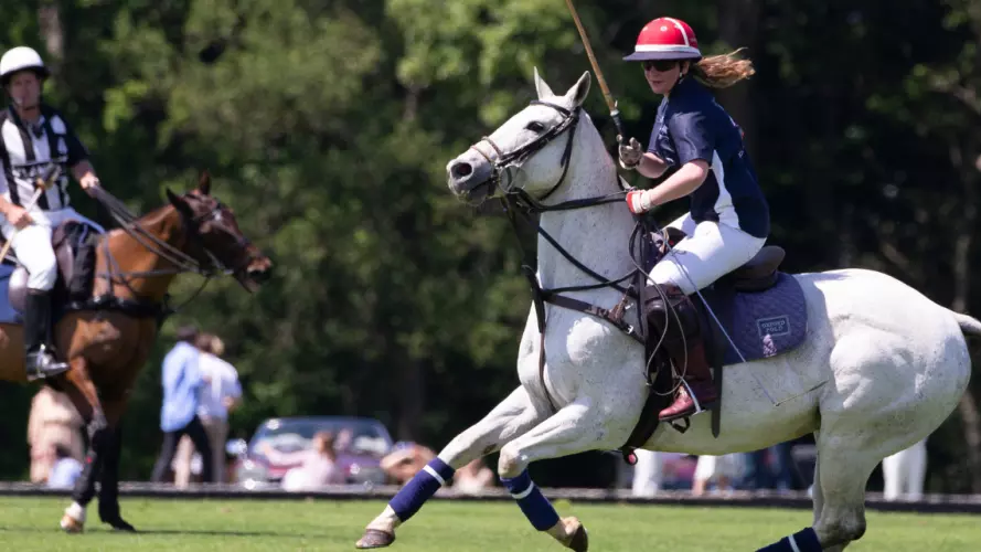 polo banner